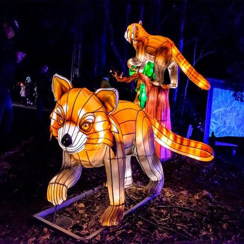 Llanternes xineses de forma animal de gran qualitat