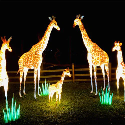 Llanterna de seda decoració vívida del parc Thme